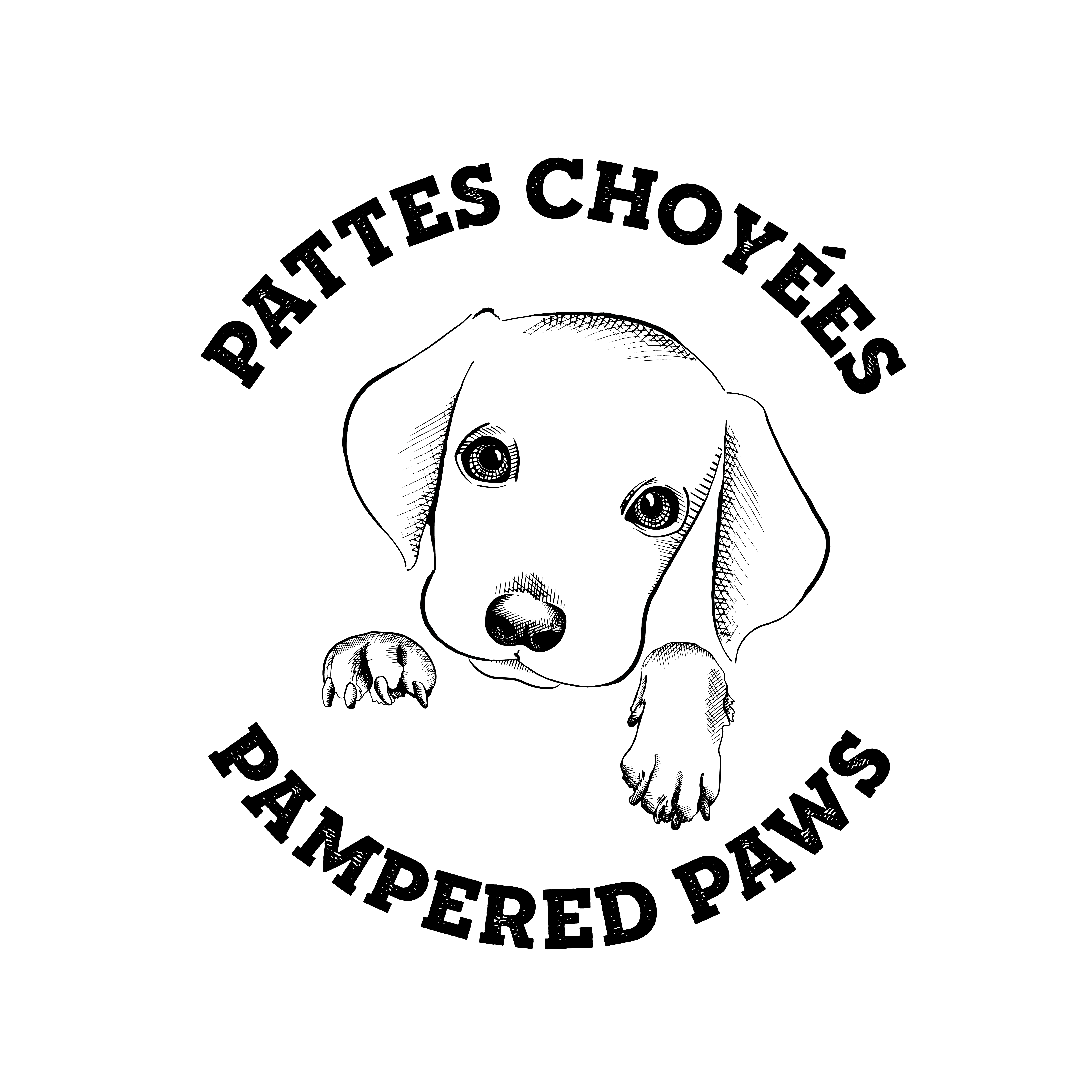 Main Logo