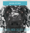 Est-ce que mon chien a froid?